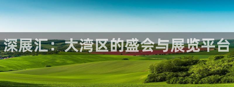 电脑怎么下载果考网